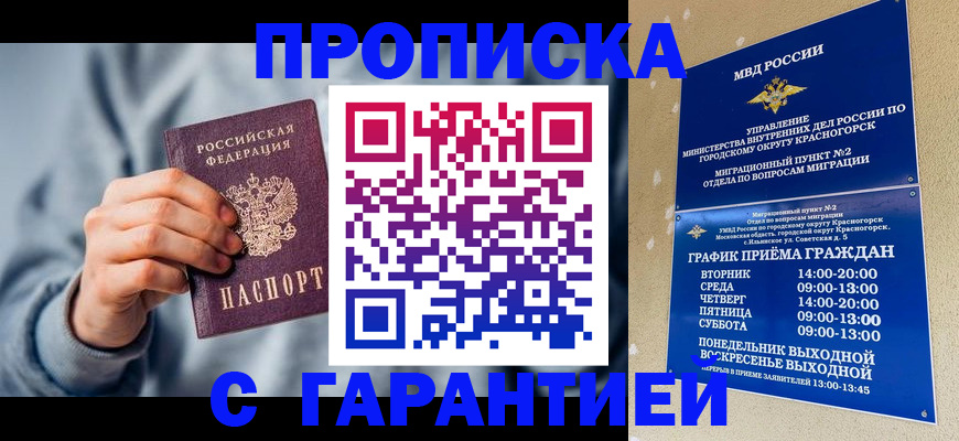 прописка в квартире в Щёлково